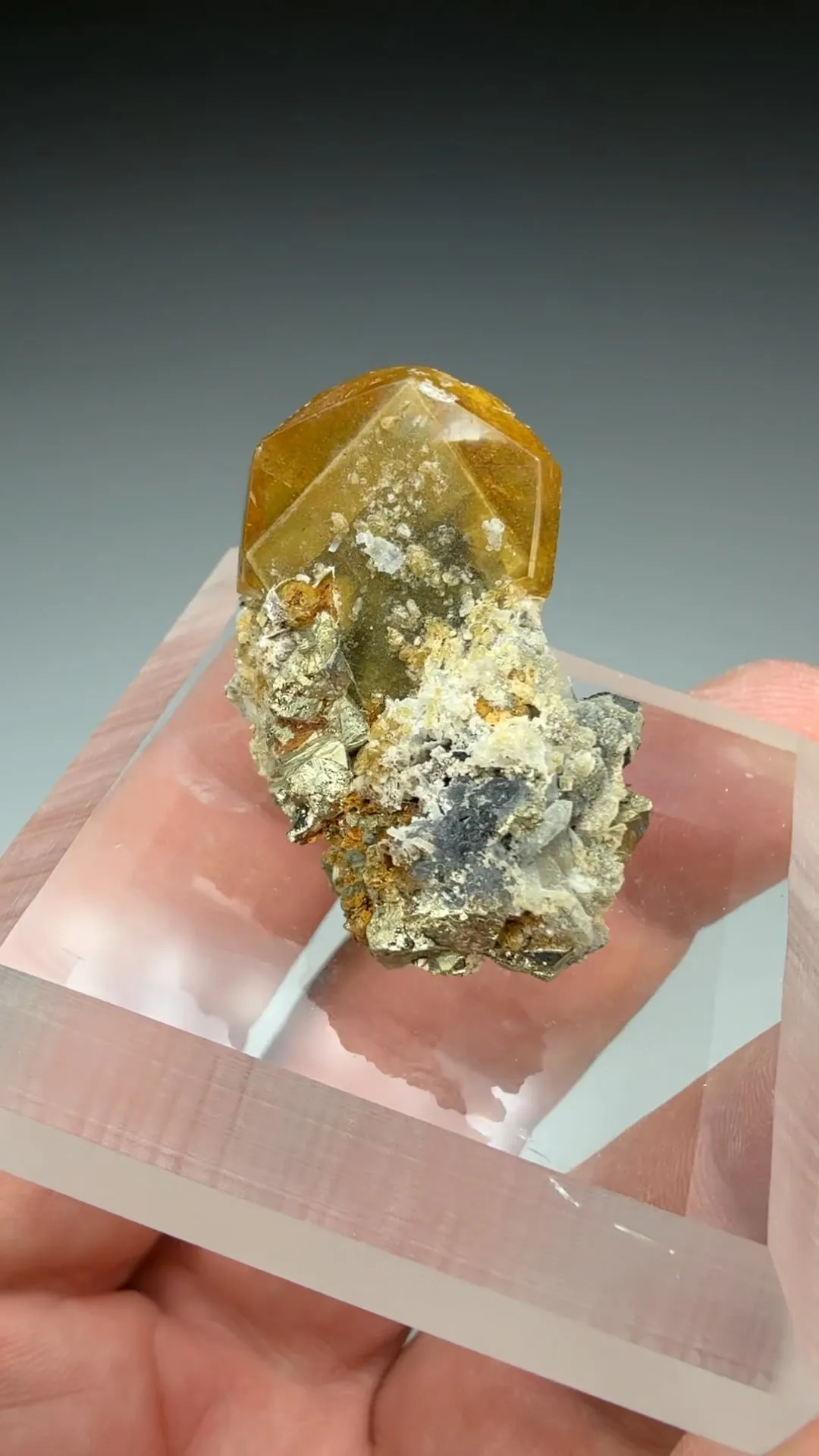 Barite with Pyrite (1557) - image 2
