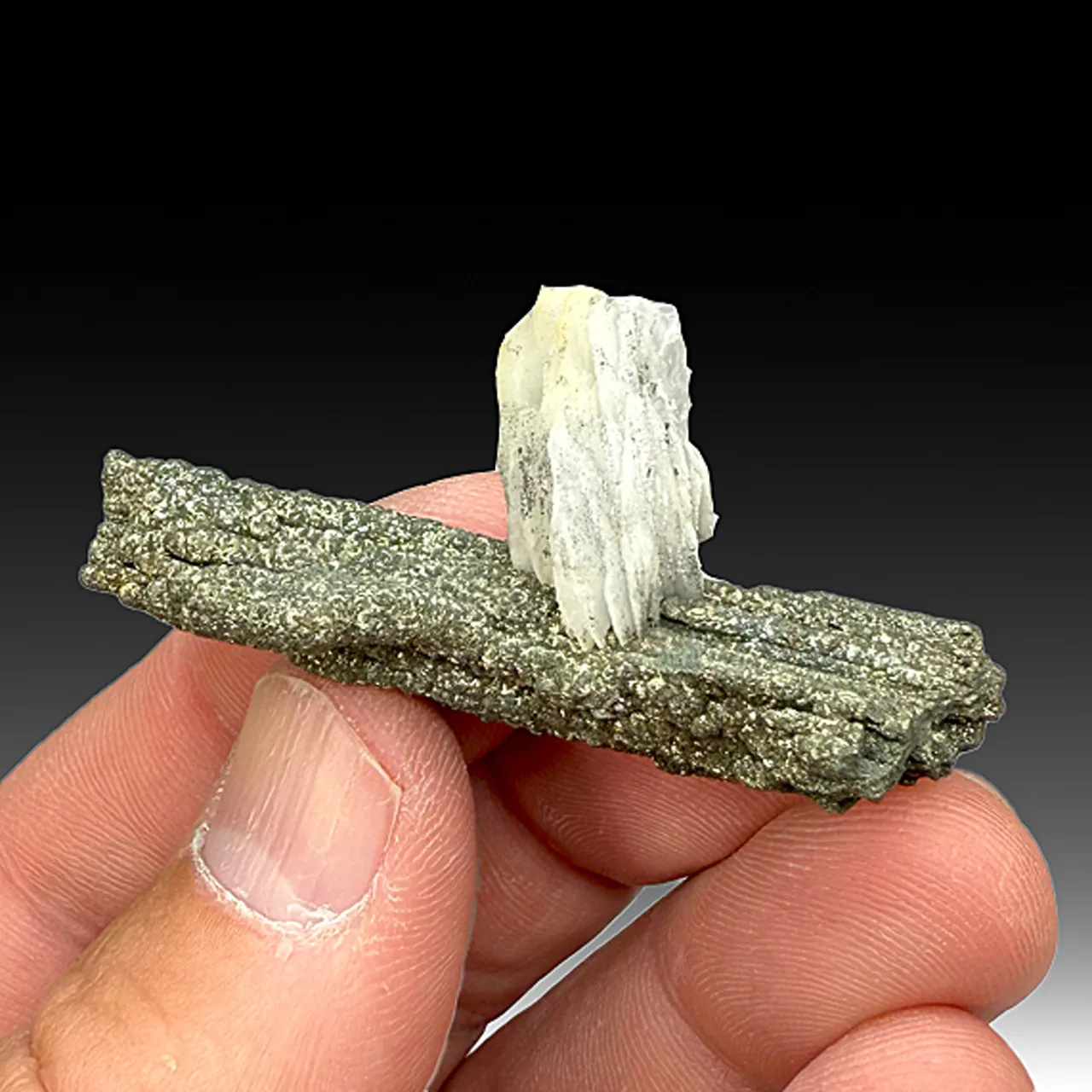 Barite with Pyrite (2052) - image 1