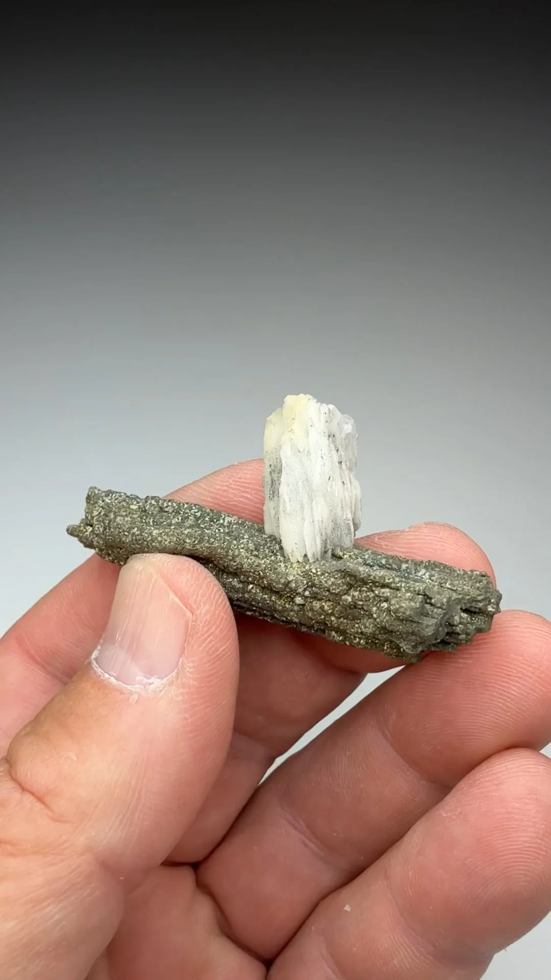 Barite with Pyrite (2052) - image 2