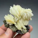 Barite with Pyrite (2157) - image 2