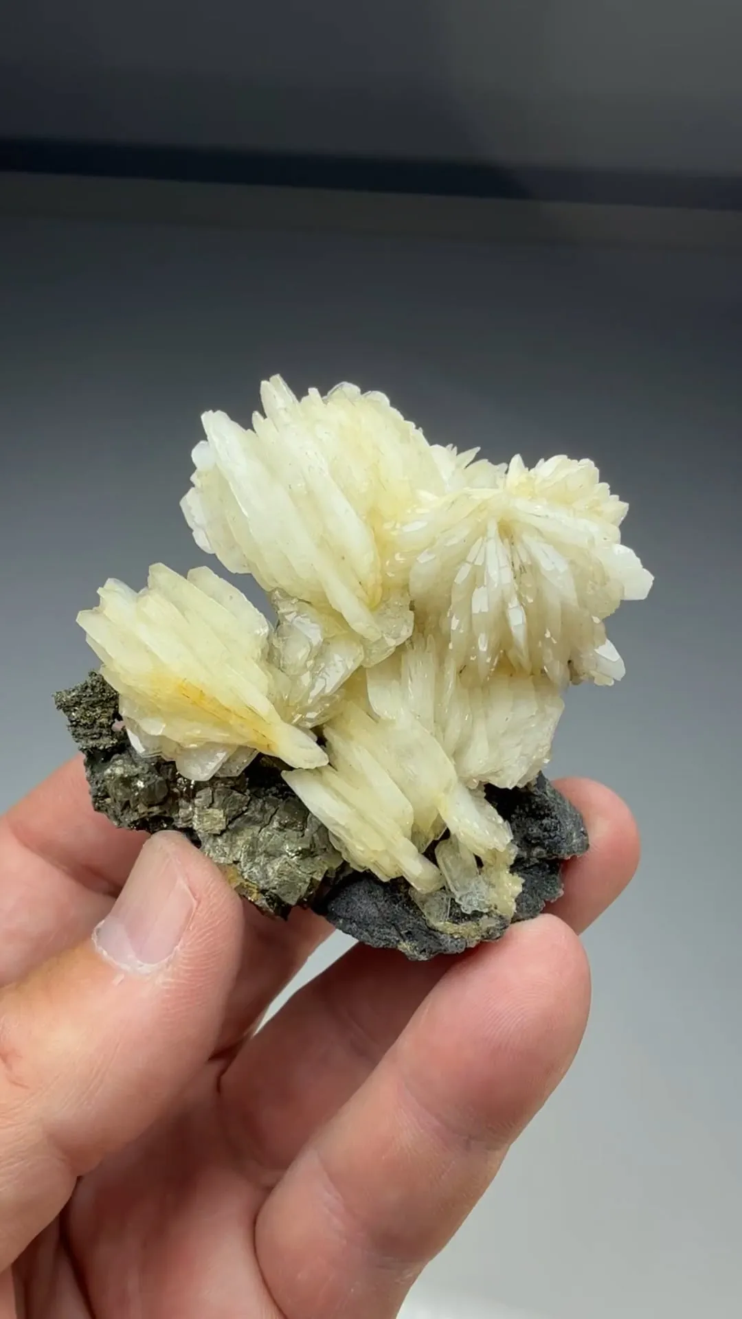 Barite with Pyrite (2157) - image 2