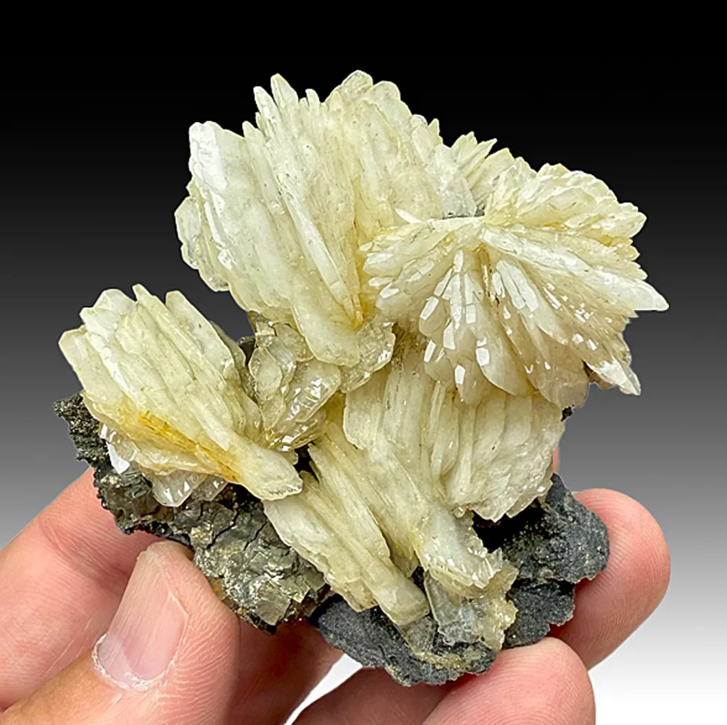 Barite with Pyrite (2157) image