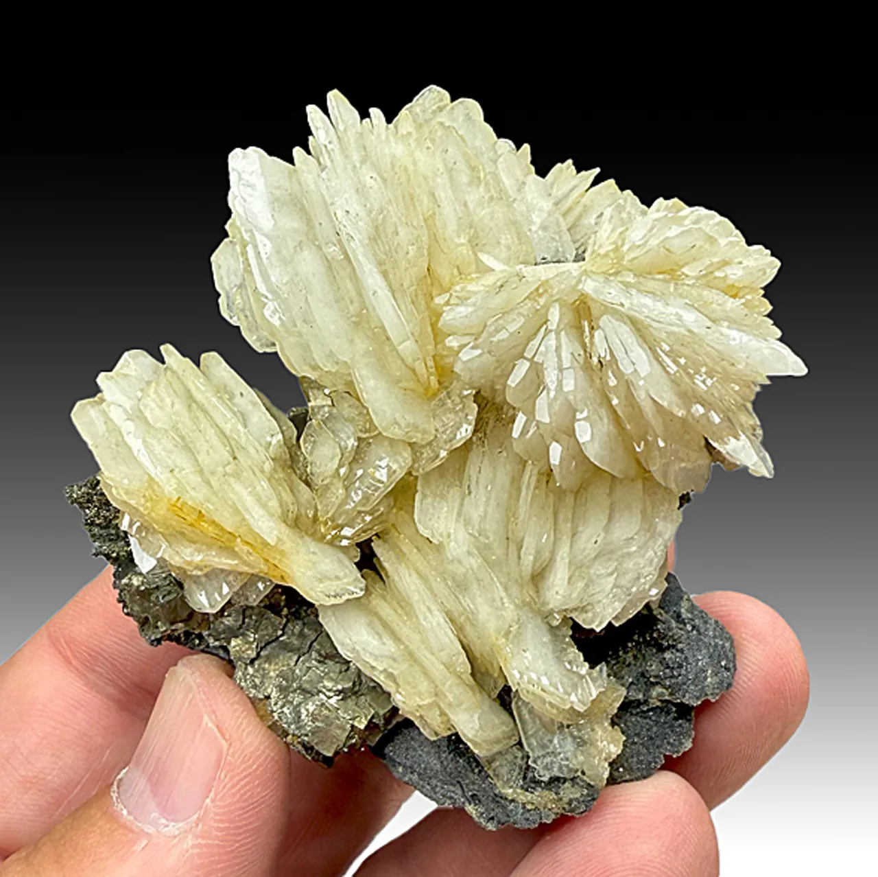 Barite with Pyrite (2157) - image 1