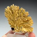 Barite with Pyrite (2201) - image 2
