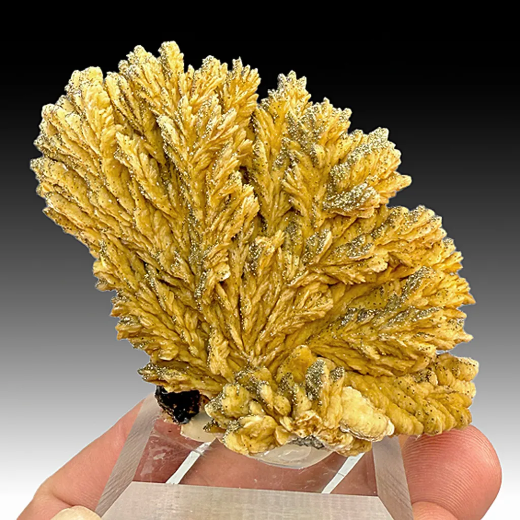 Barite with Pyrite (2201) image