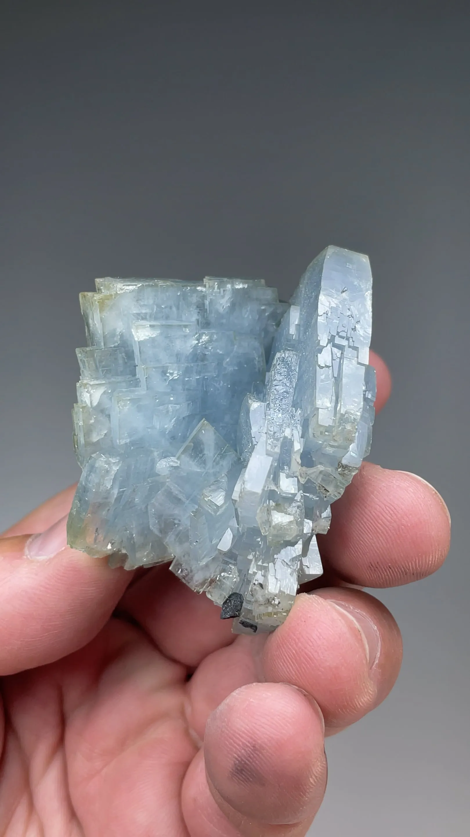 Barite with Pyrite - image 2