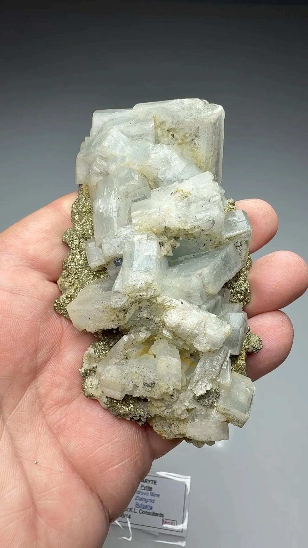Barite with Pyrite - image 2