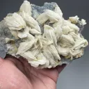 Barite with Pyrite, Quartz - image 2