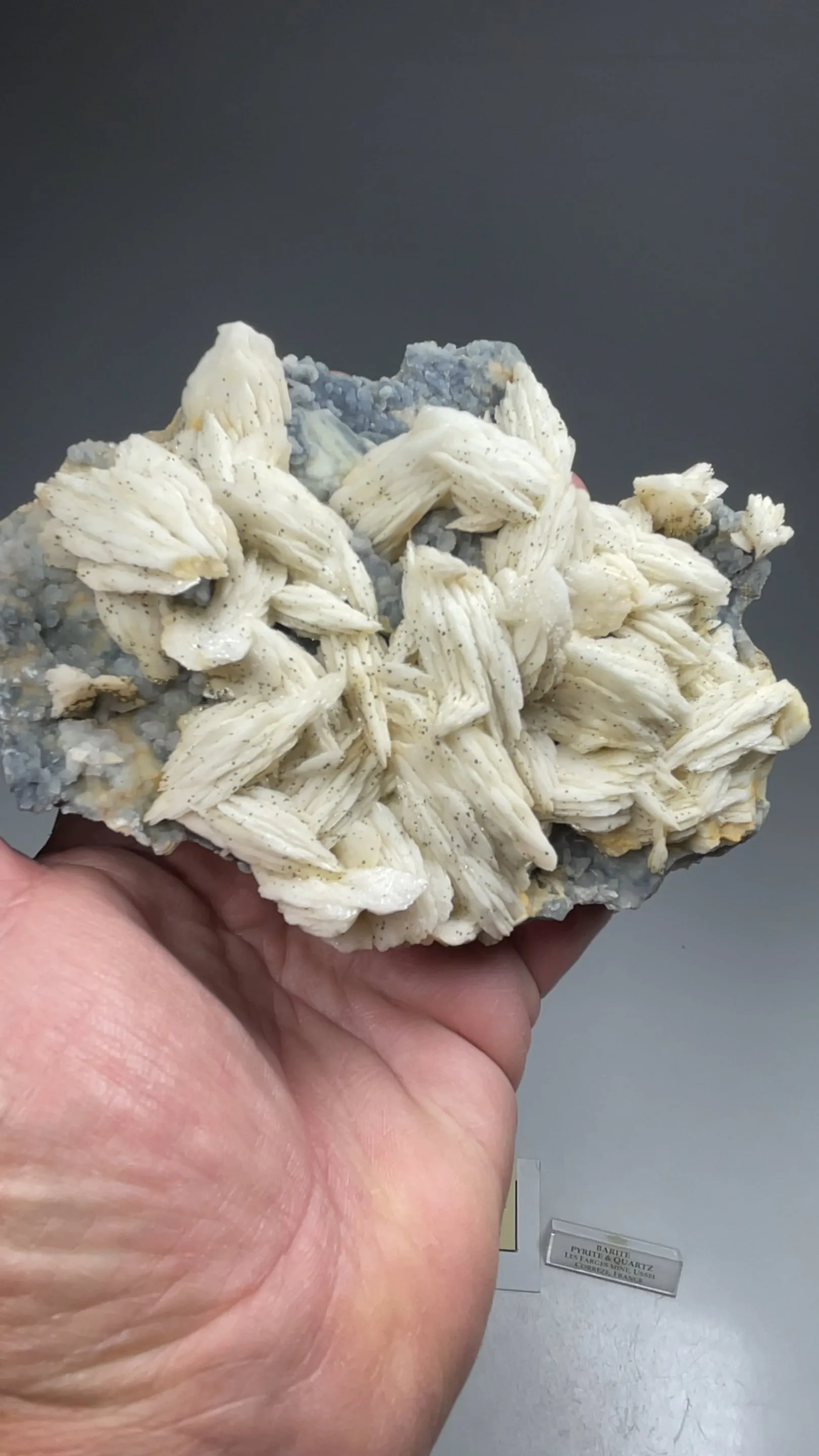 Barite with Pyrite, Quartz - image 2