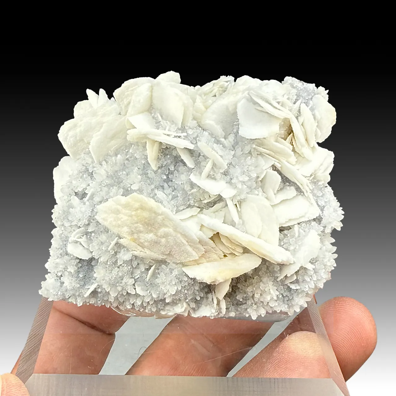 Barite with Quartz (783) - image 1