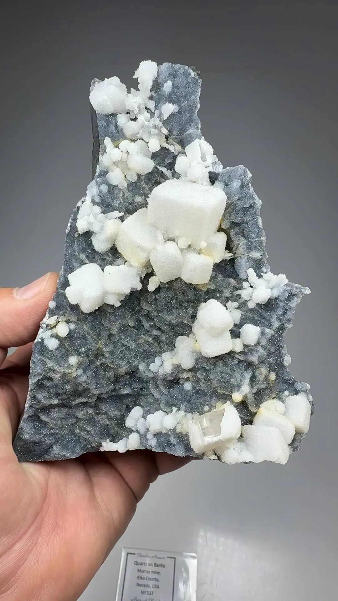 Barite with Quartz - image 2