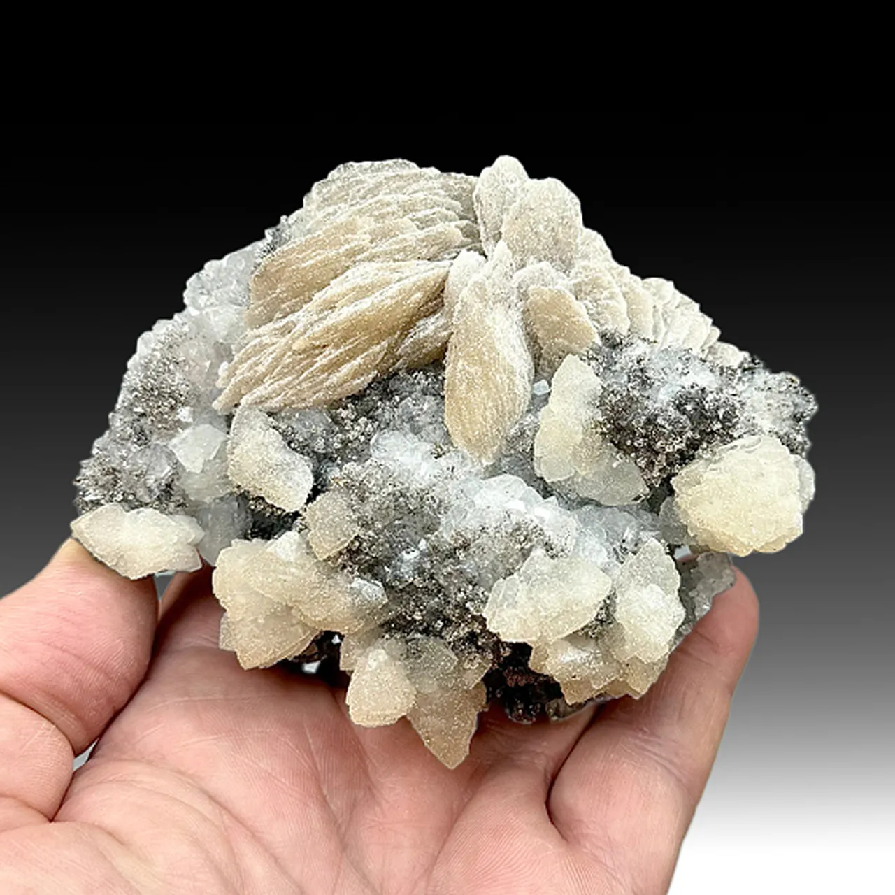 Barite with Quartz, Calcite, Goethite (1352) - image 1