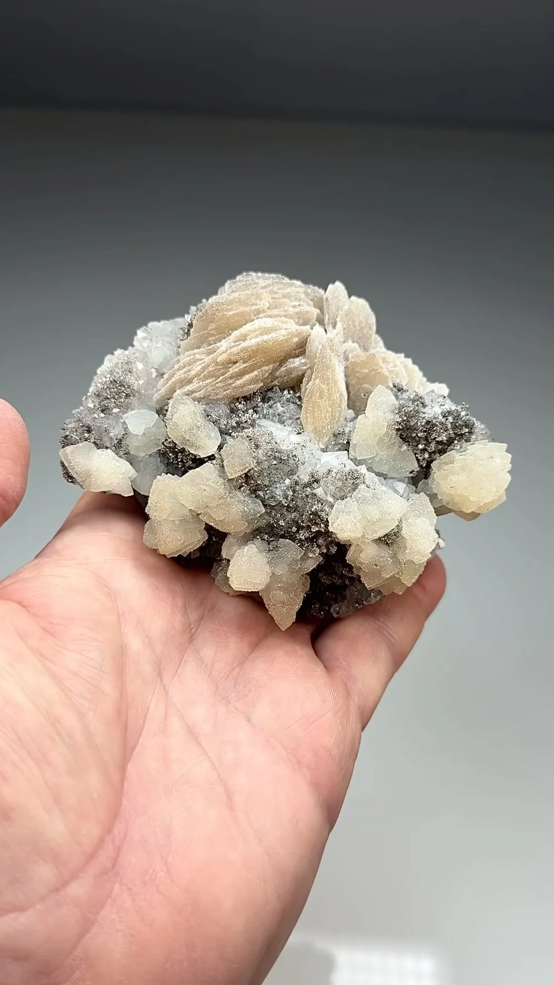 Barite with Quartz, Calcite, Goethite (1352) - image 2