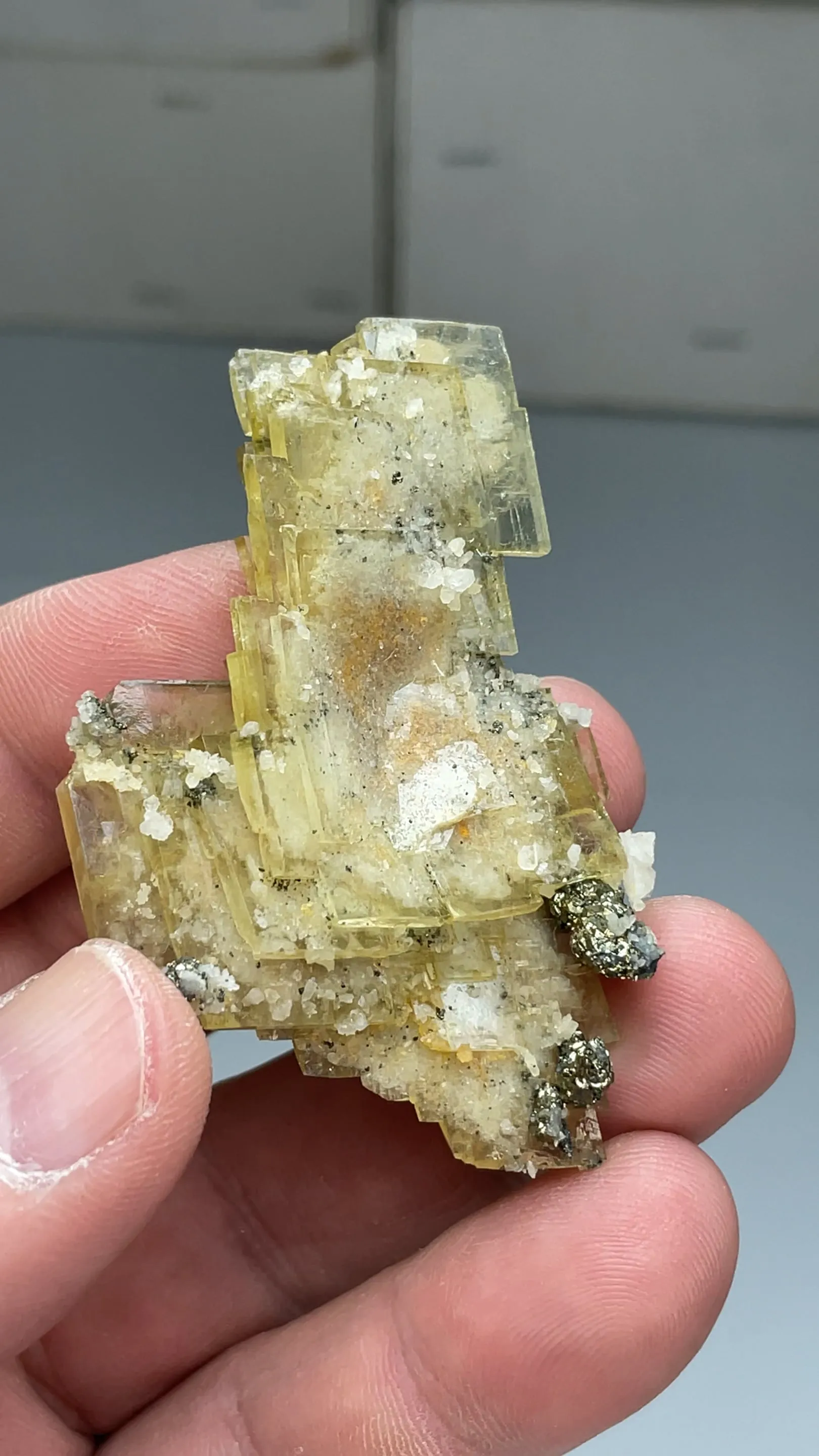 Barite with Quartz, Pyrite - image 2
