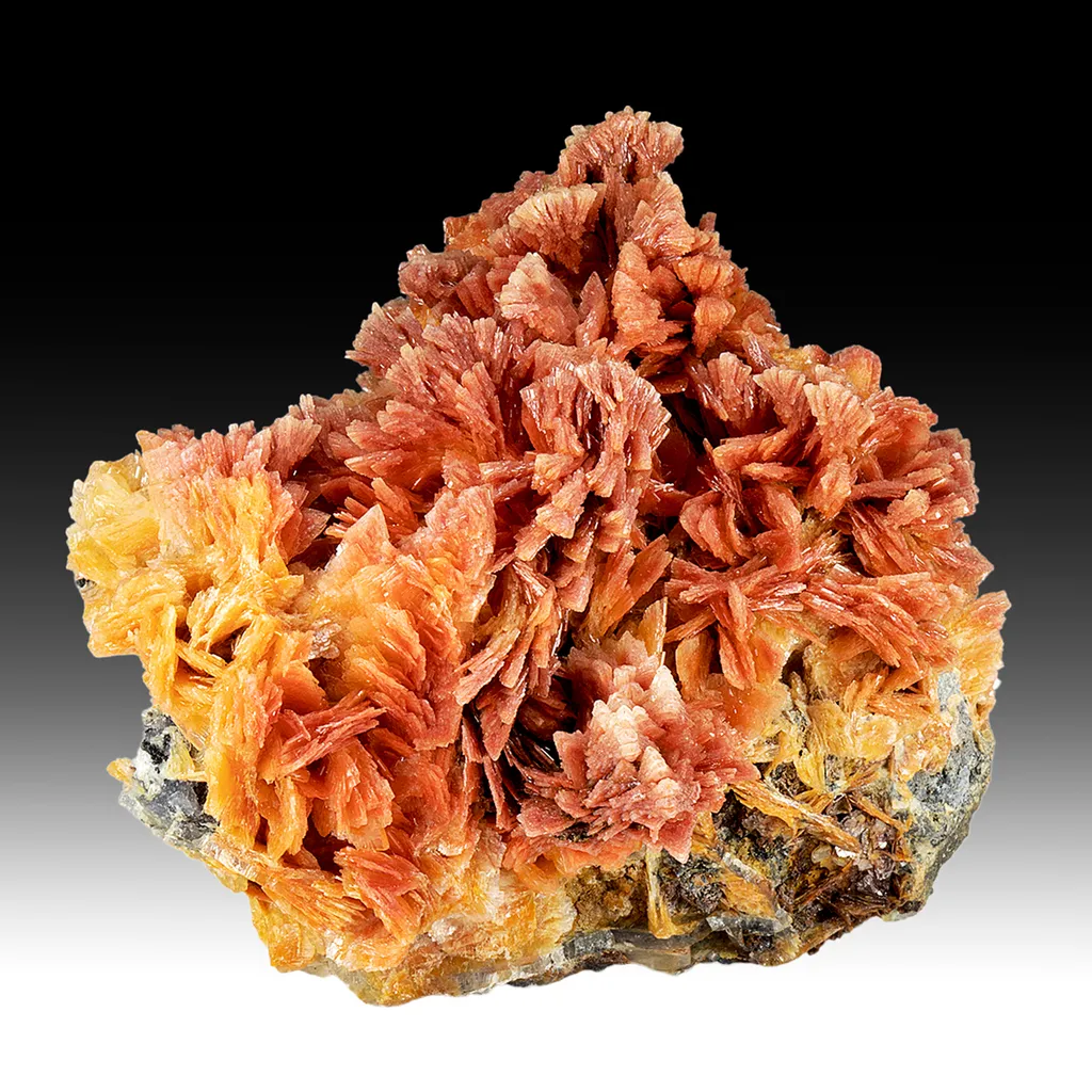 Barite with Realgar inclusions image