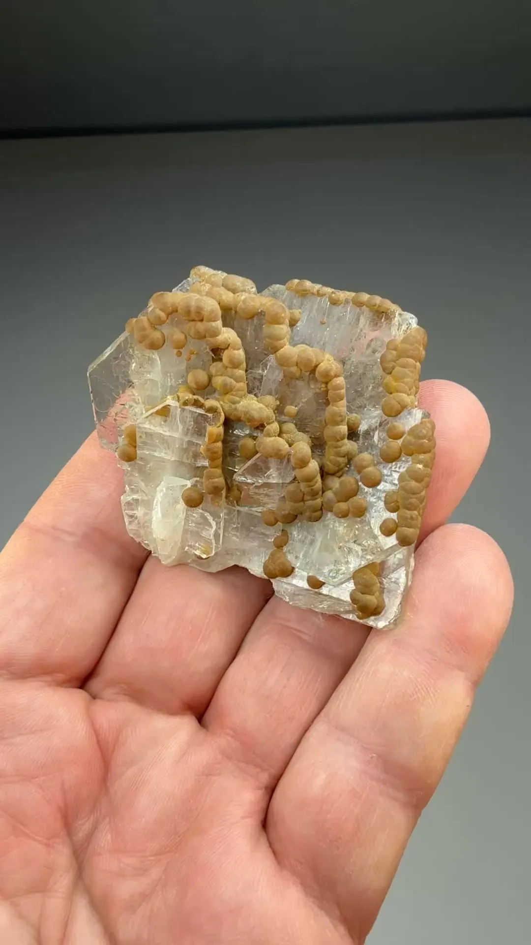 Barite with Siderite (777) - image 2