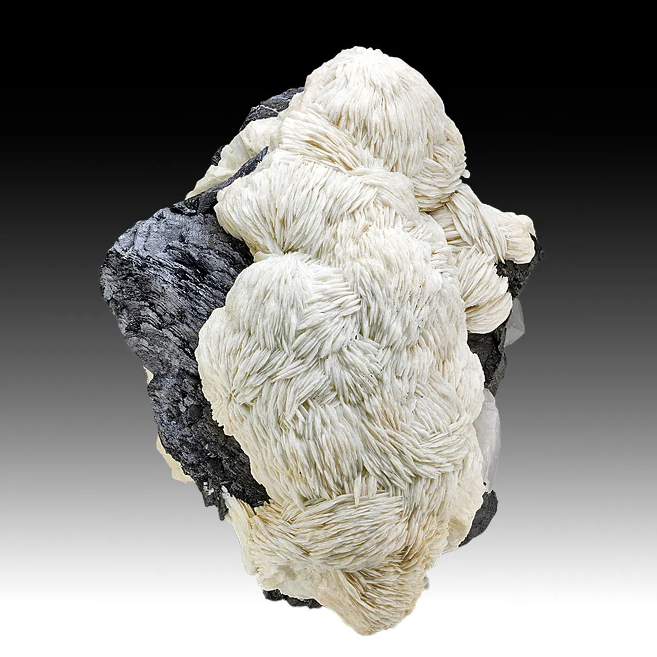 Barite with Sphalerite - image 1