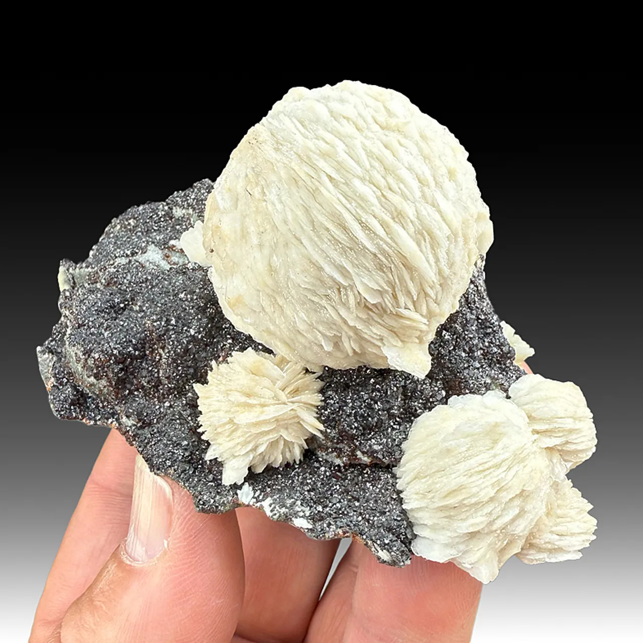 Barite with Sphalerite (1861) - image 1