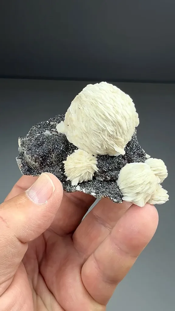 Barite with Sphalerite (1861) - image 2