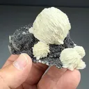 Barite with Sphalerite (1861) - image 2