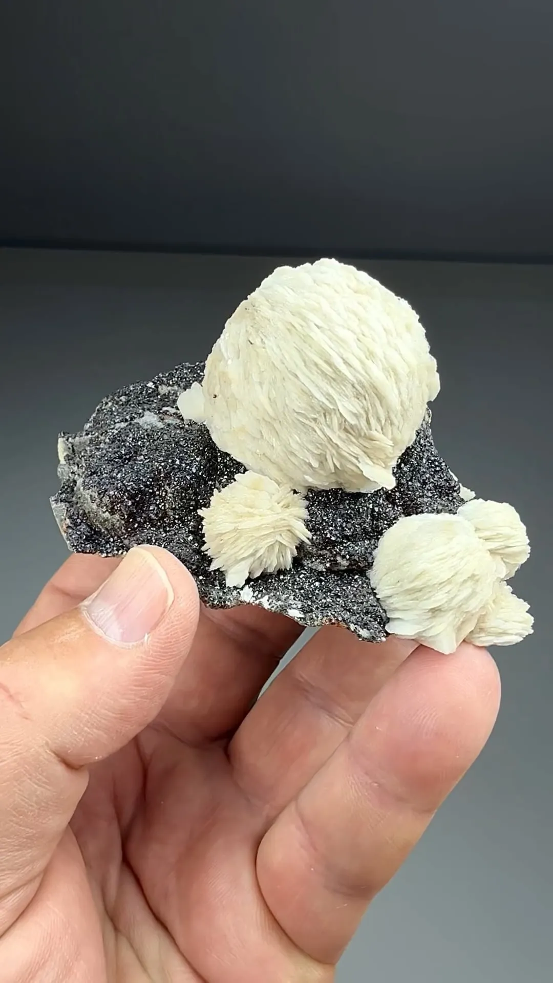 Barite with Sphalerite (1861) - image 2