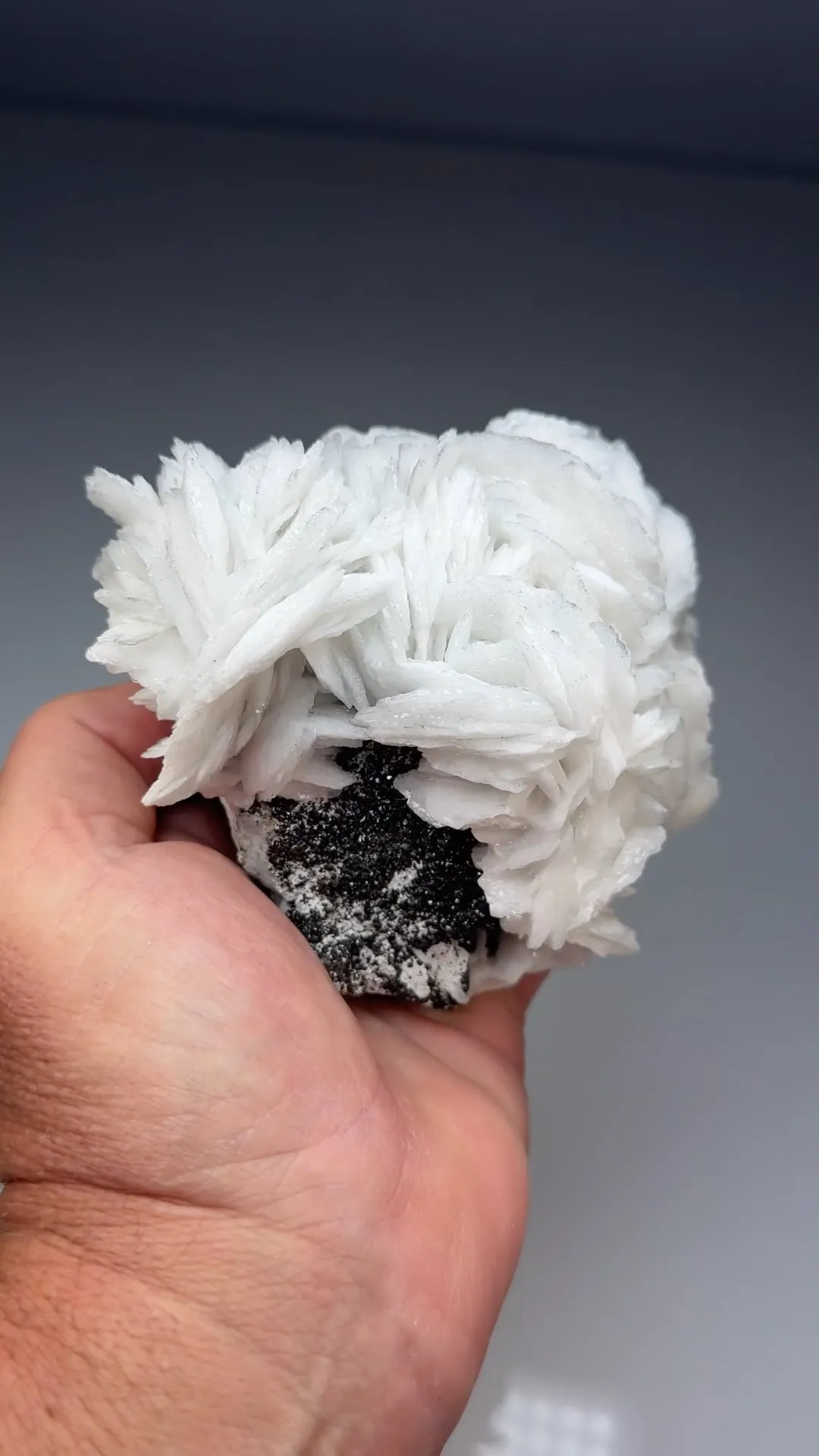 Barite with Sphalerite (2000) - image 2