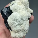 Barite with Sphalerite - image 2