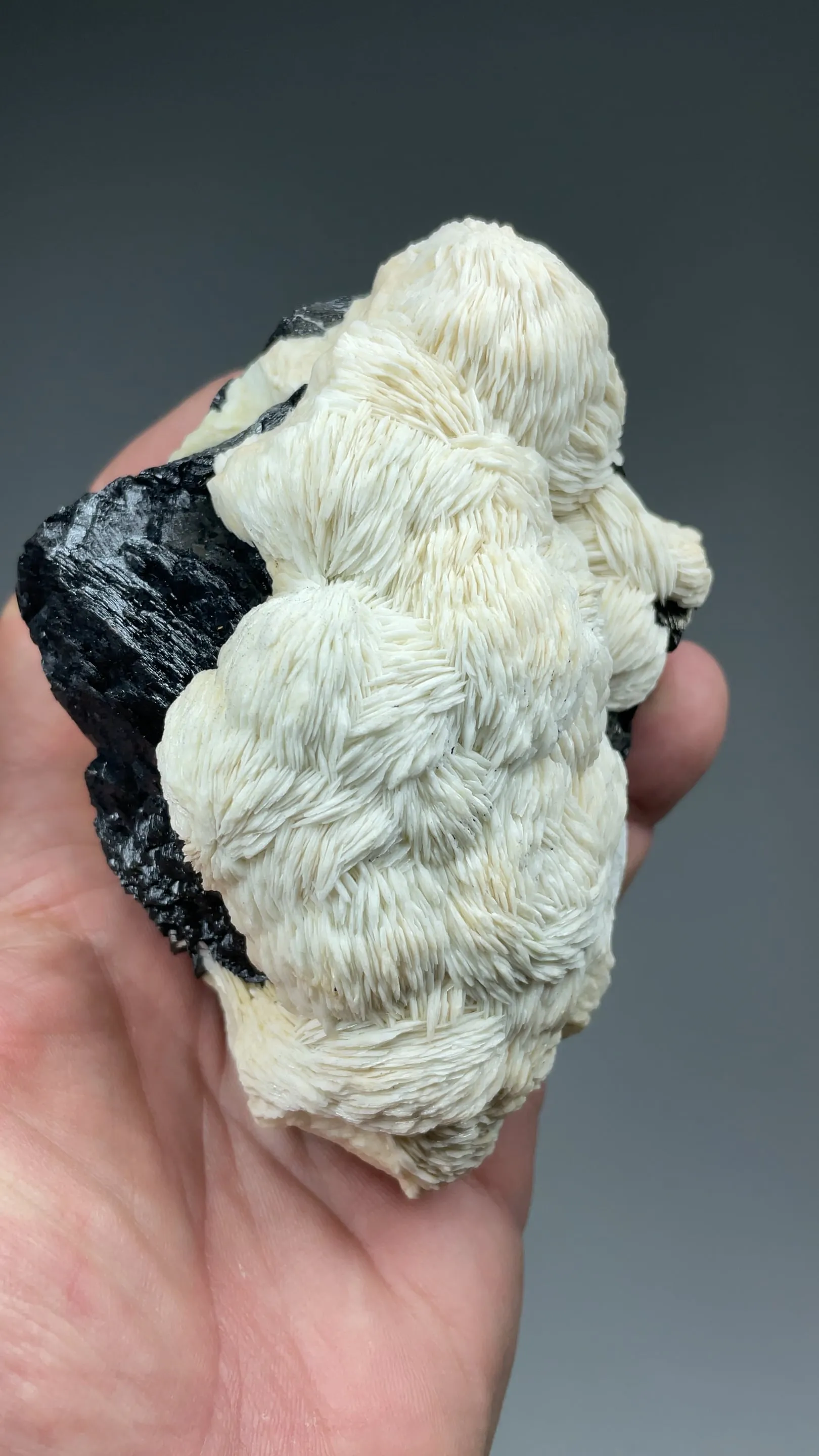 Barite with Sphalerite - image 2