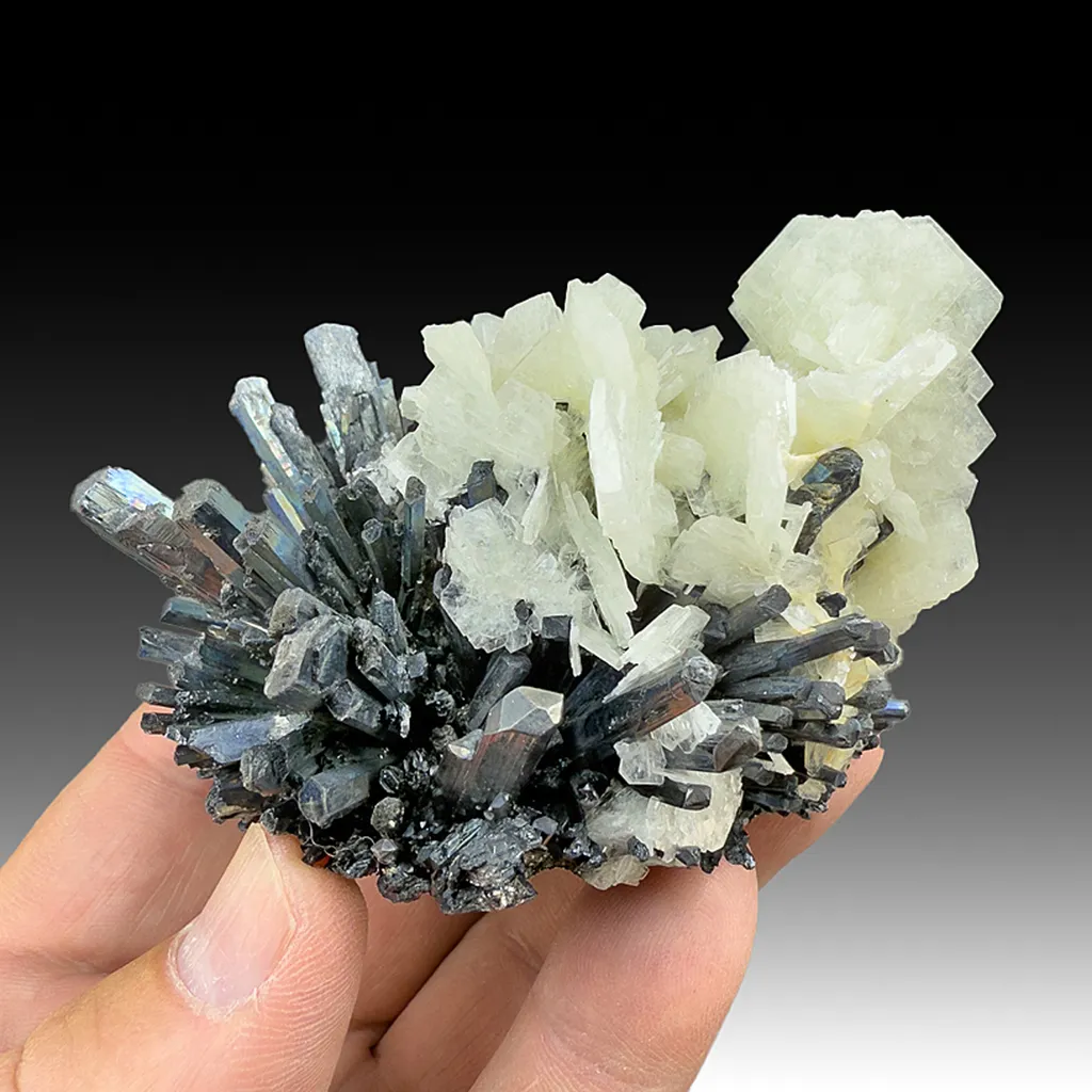 Barite with Stibnite (1879) image