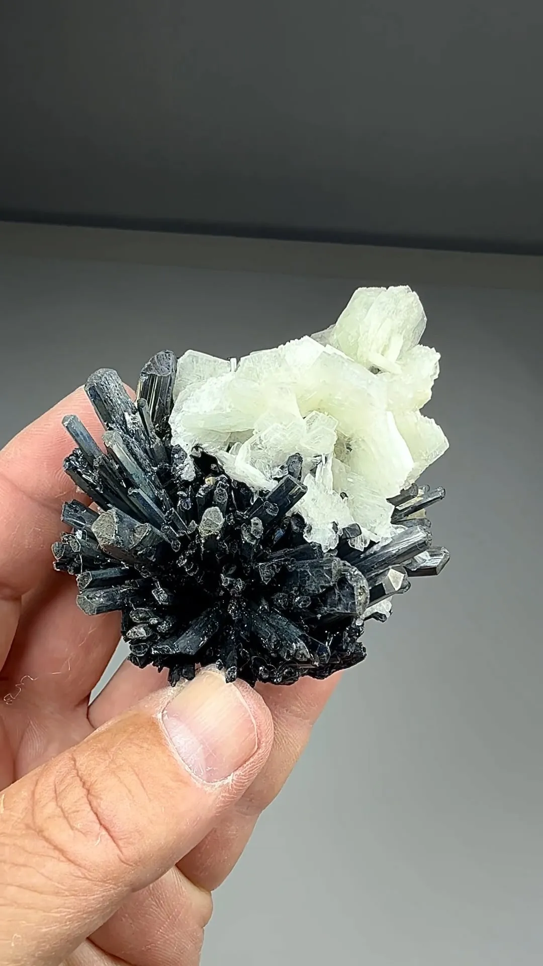 Barite with Stibnite (1879) - image 2