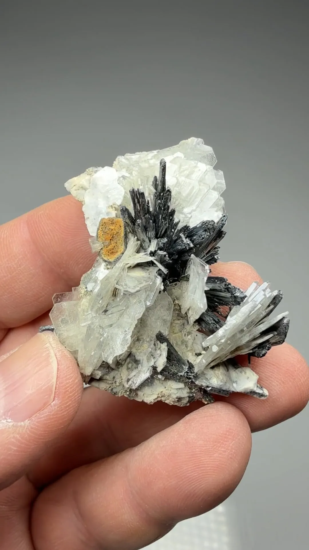 Barite with Stibnite - image 2