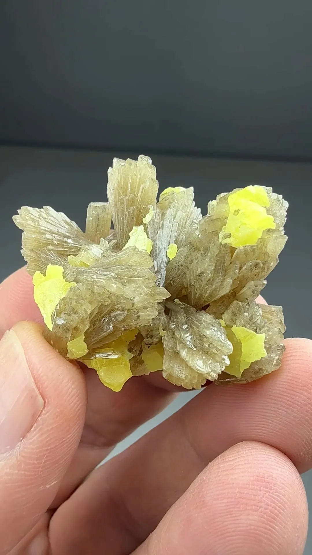 Barite with Sulfur (l675) - image 2