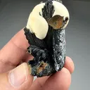 Barite with Vivianite (17) - image 2