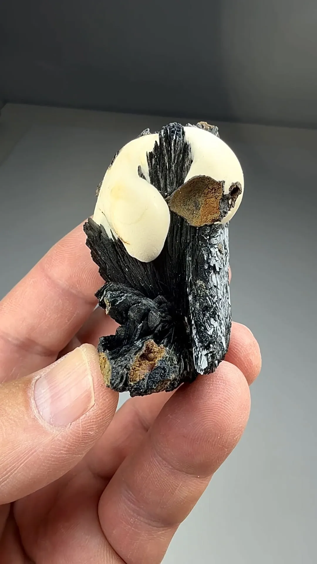 Barite with Vivianite (17) - image 2