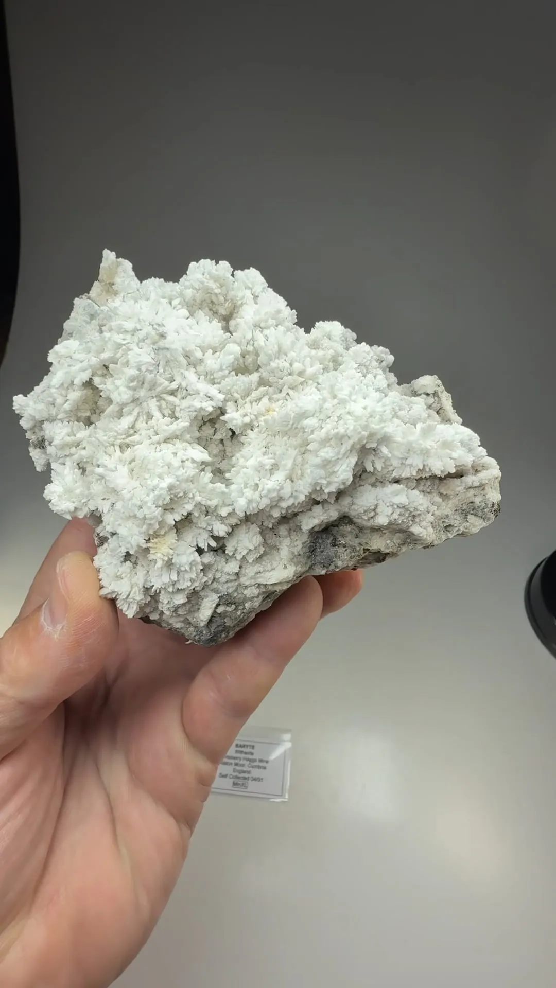 Barite with Witherite - image 2