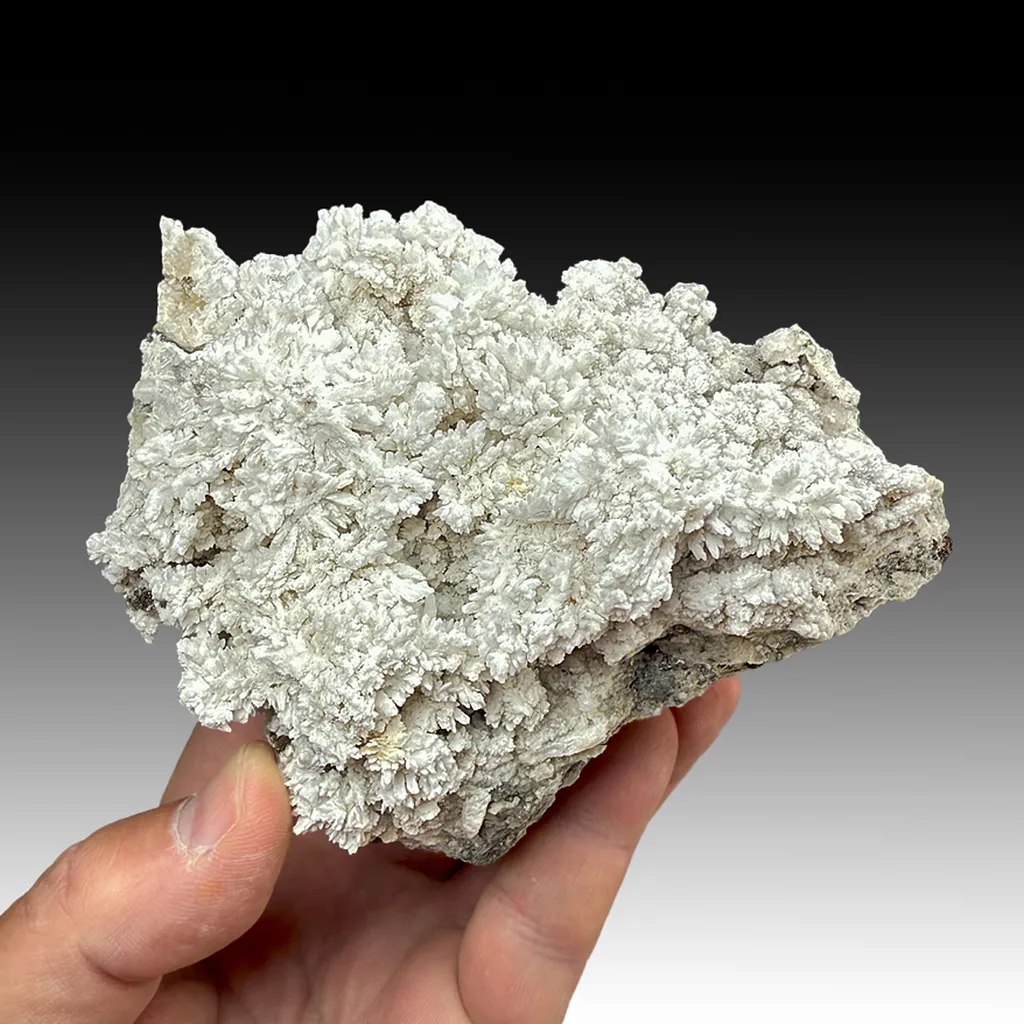 Barite with Witherite image