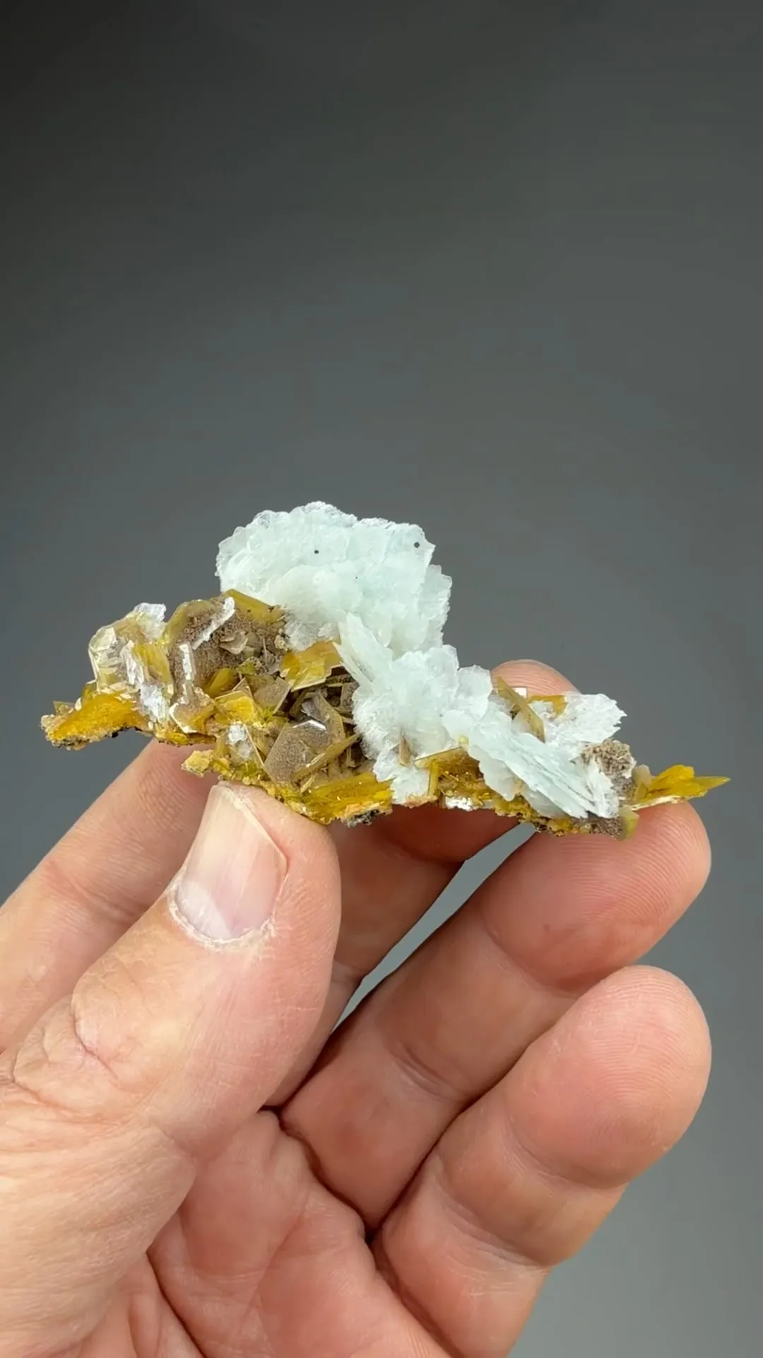 Barite with Wulfenite - image 2