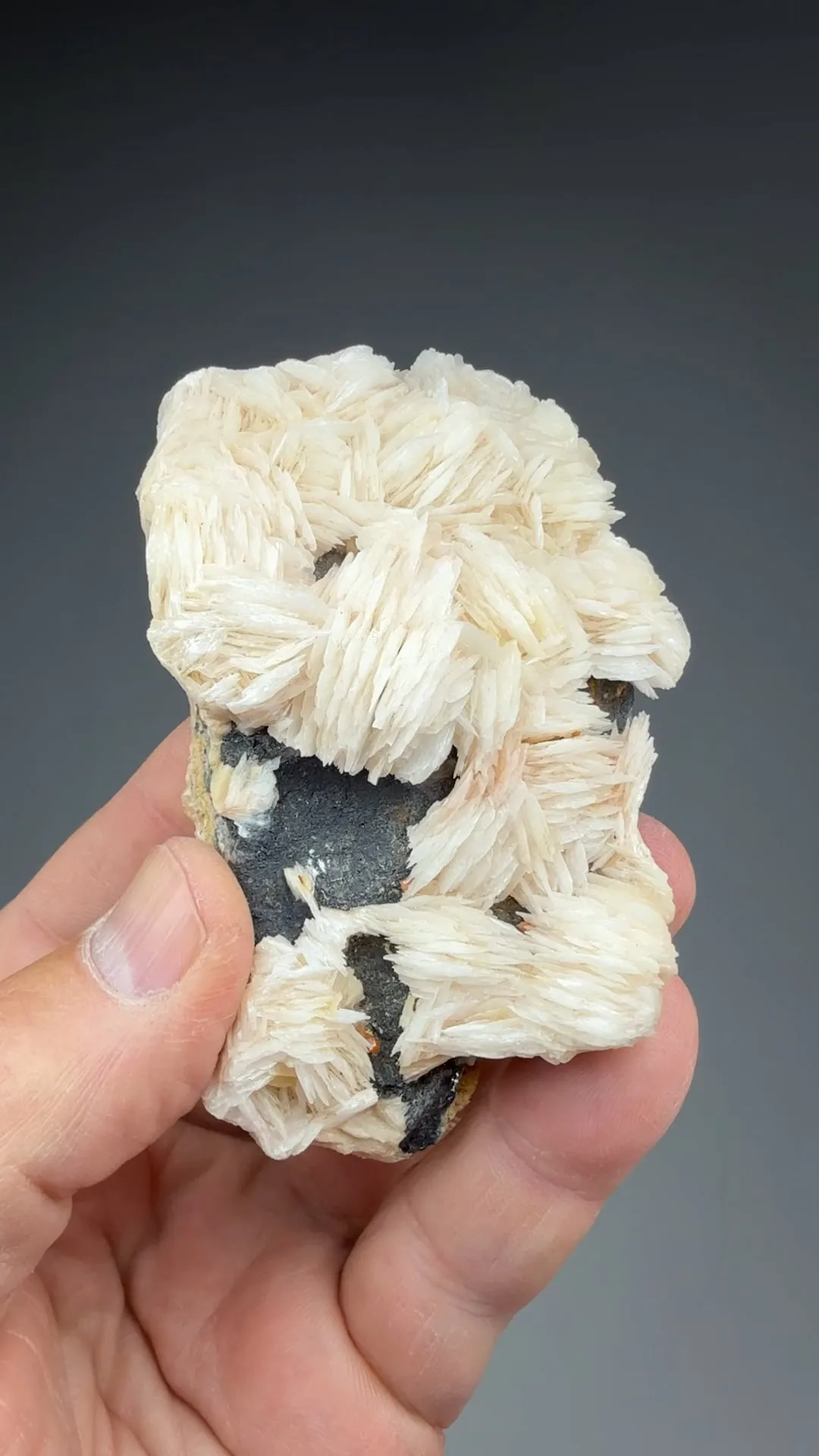 Barite with Wulfenite, Galena - image 2