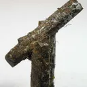 Barite W/Silver - image 2