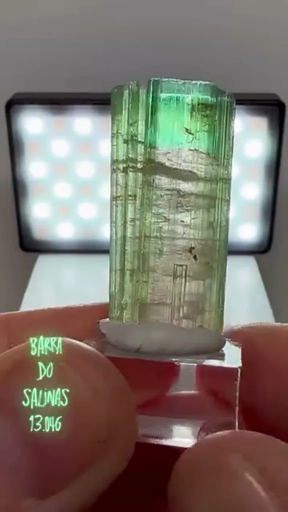 Barra do Salinas Tourmaline 13.05 grams image
