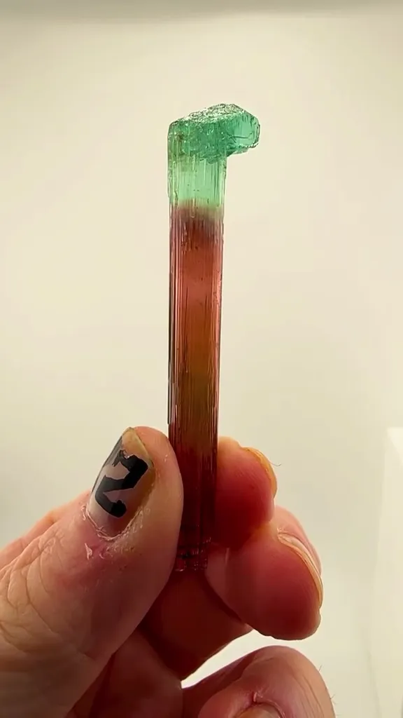 Barra do Salinas Tourmaline Scepter Banger image