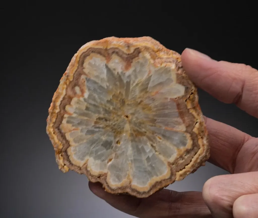Baryte Cut Stalactite - image 2