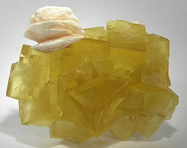 Baryte, Fluorite image