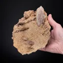 BARYTE on Dolomite - image 2