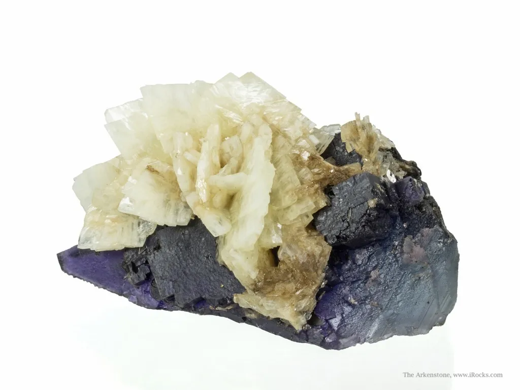 Baryte on Fluorite image