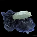 Baryte on Fluorite - image 4