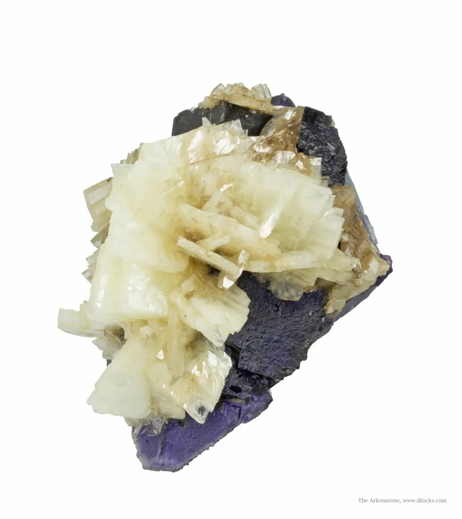 Baryte on Fluorite - image 2