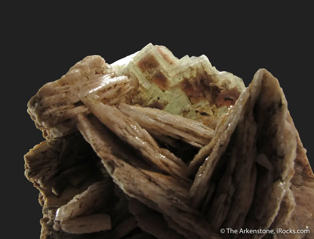 Baryte on Fluorite - illustrated - image 5