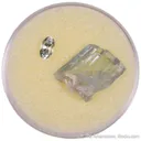Baryte (Rough & Cut set) - image 3