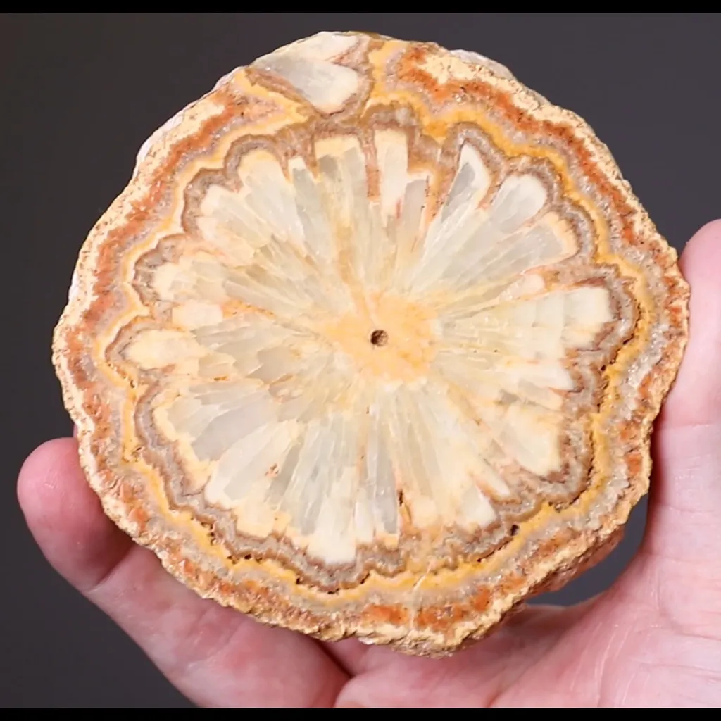 Baryte Sawn Cross-Section - image 2